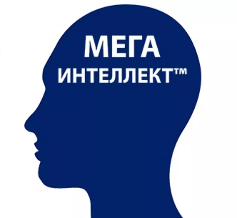 Центр развития личности «Мега Интеллект»